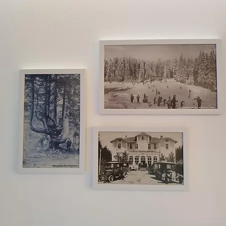 Alpin Art In Iceberg - Free Pool, Sauna And Fitness *