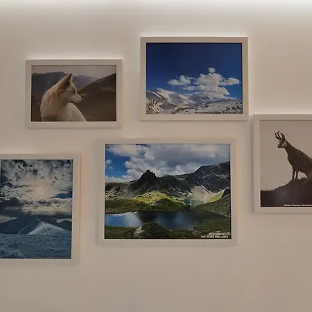 公寓 Alpin Art In Iceberg - Free Pool, Sauna And Fitness